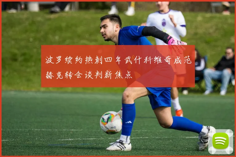 波罗续约热刺四年武什科维奇成范赫克转会谈判新焦点